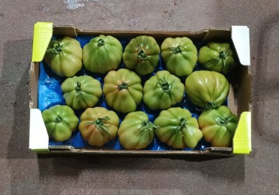 Foto Pomodoro Cuore Di Bue Origine Italia Marchio Ortottone 3